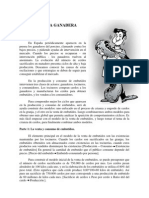 Cerdos PDF