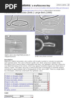 River Diatoms:: A Multiaccess Key