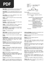 Handout Maternity Nursing Female Reproductive Organs 