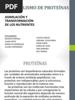 Metabolismo de Proteinas