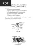 Intervención Logopédica Praxias Bucolinguales