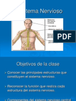 El Sistema Nervioso PPT 1