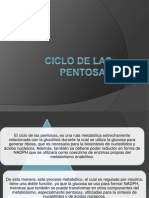 Ciclo de Las Pentosas