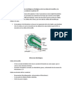 Informe 5 Veg