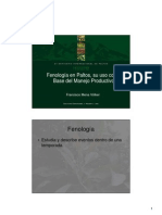 Fenologia Del Palto PDF