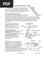 Vertebrate Diversity