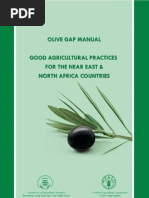 Olive Gap Manual PDF