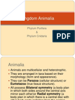 Lab 10 Porifera & Cnidaria