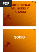 Manejo Renal Del Sodio y Potasio