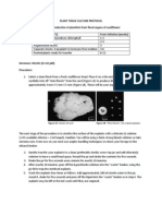 Plant Tissue Culture Protocol