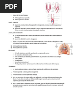 Arteria Pulmonar