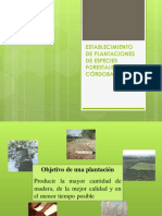 Establecimiento de Plantaciones de Especies Forestales