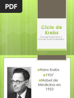 Ciclo de Krebs y Fosforilación Oxidativa