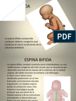 Trabajo de Espina Bifida