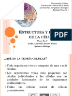 Clase No. 6 Estructura y Función de La Célula