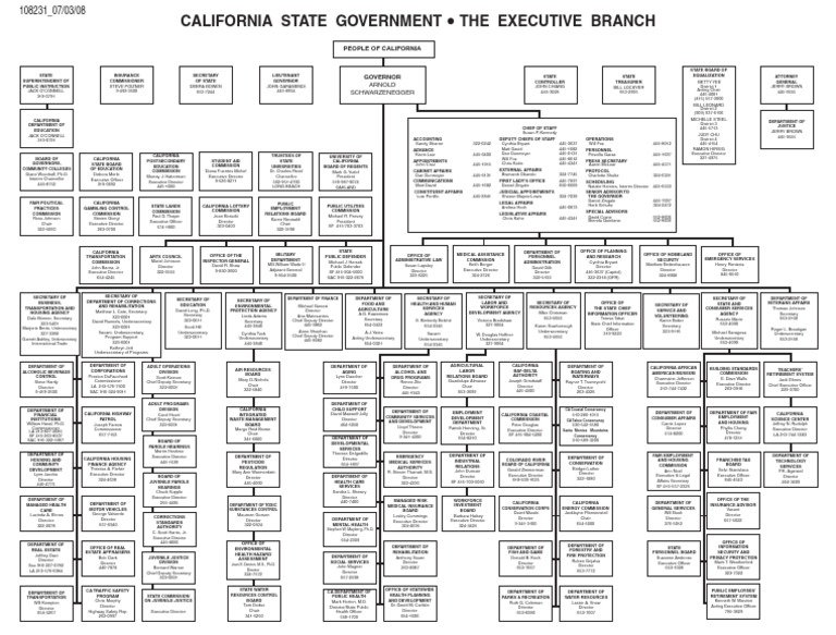 State Government Structure Chart