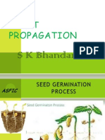 Plant Propagation