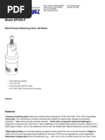 BPS09 P PDF