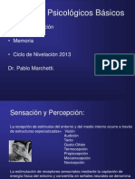 Sensacion, Aprendizaje y Memoria, Dr. Marchetti