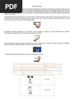 Fuerza Máxima PDF