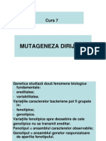 Curs - Mutageneza Dirijata 