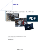 Poluição Aquática: Derrame Petróleo