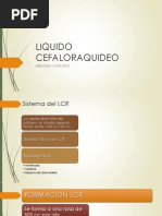 Liquido Cefaloraquideo