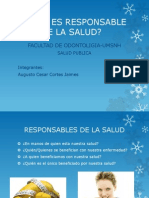 Quien Es Responsable de La Salud