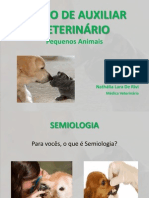 CURSO DE AUXILIAR VETERINÁRIO - AULA SEMIOLOGIA - Aula2