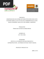 Proyecto Ejecutivo Francisco Javier Alvarez Broca