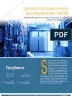 Understanding Virtual Concatenation and Link Capacity Adjustment Scheme in SONET SDH