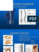 La Columna Vertebral Posiciones Radiologicas y Anatomia