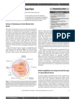 Blood Brain Barrier PDF