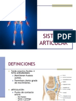 Sistema Articular