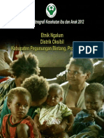 Buku Seri Etnografi Kesehatan Ibu Dan Anak 2012 Etnik Ngalum, Distrik Oksibil, Kabupaten Pegunungan Bintang, Provinsi Papua