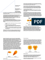 Definition and Overview of Smart Antenna 