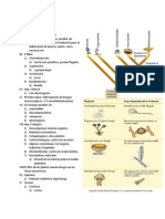 Repaso para Examén Micologia