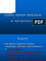 Colon, Rectum and Anus-Dr. Sigit