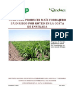 Producción de Maíz para Ensilado