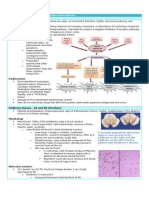 Neuro Phase Notes MS-1