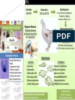 Aflatoxicosis en Aves PDF