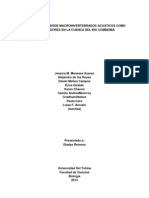 Estudio y Analisis de Macroinvertebrados Acuaticos Como Bioindicadores en La Cuenca Del Rio Combeima-1