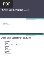 Cross Site Scripting (XSS)