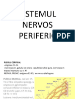 Sistemul Nervos Periferic