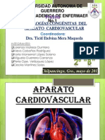 Aparato Cardiovascular Patologias