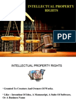 Intellectual Property Rights