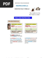 Nemotecnias de NEUMOLOGIA - PLUS Medica