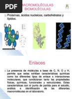 Macromoleculas