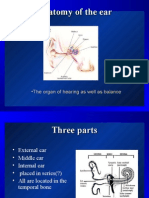 Anatomy of The Ear
