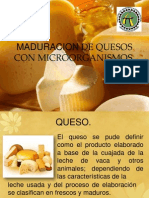 Maduracion de Quesos Con Microorganismos